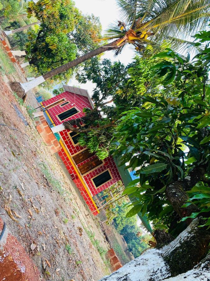 Revadanda Pratik Mango Farm House 빌라 외부 사진